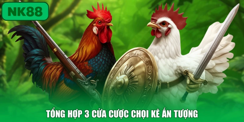 Đá Gà 2 Tổng hợp 3 cửa cược chọi kê ấn tượng