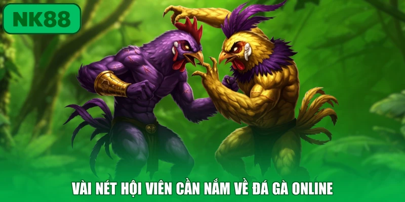 Đá Gà 1 Vài nét hội viên cần nắm về đá gà online